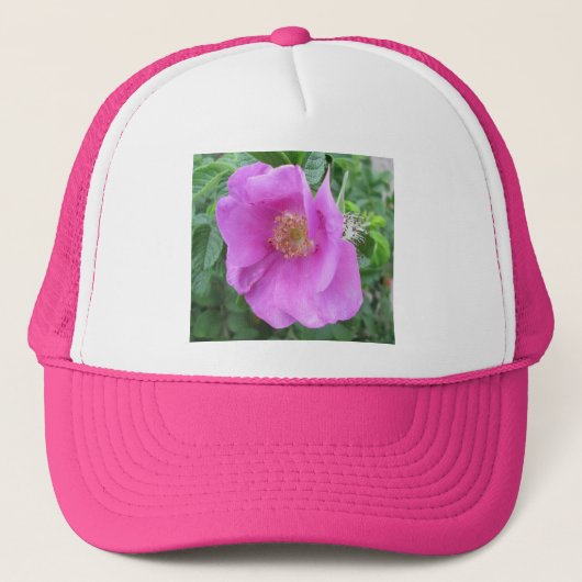 Rose Pink Beach Plane Truckerkappe (Vorderseite)