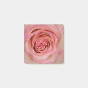 Rose Pink Blume Post-it Klebezettel
