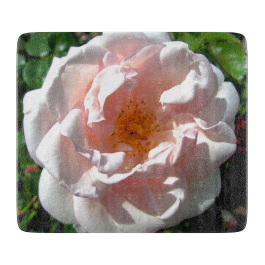Rose Pink Sun Schneidebrett (Vorderseite)