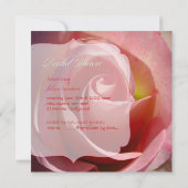 Rose PixDezines, rosa Einladung (Rückseite)