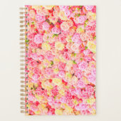 Rose Planer (Vorderseite)