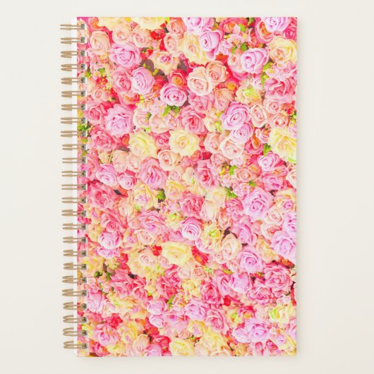 Rose Planer (Vorderseite)