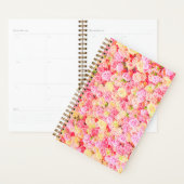 Rose Planer (Anzeige)