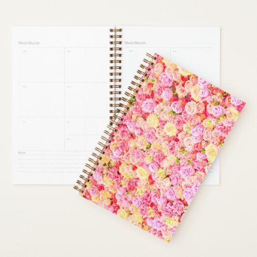 Rose Planer (Anzeige)