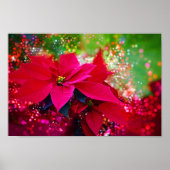 Rose, Poinsettia / Weihnachtsstern festlich Poster (Vorne)