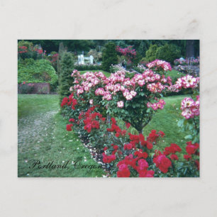 Rose, Portland, Oregon Postkarte