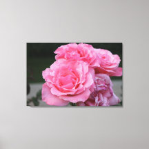 Rose Portrait Stretched Canvas Print