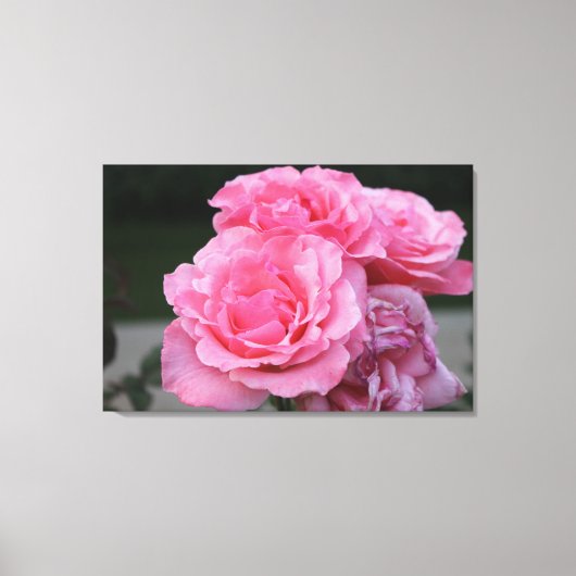 Rose Portrait Stretched Canvas Print Leinwanddruck (Vorderseite)