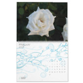 Rose Porträtkalender Kalender (Feb 2027)