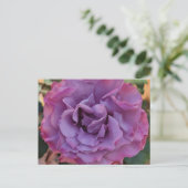 Rose PostCard Postkarte (Stehend Vorderseite)