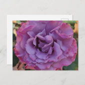 Rose PostCard Postkarte (Vorne/Hinten)