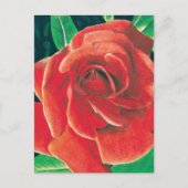 Rose Postcard von Jacob Grimm Postkarte (Vorderseite)