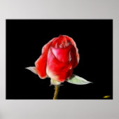 Rose Poster (Vorne)