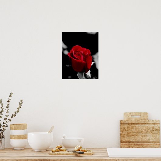 Rose Poster (Küche)