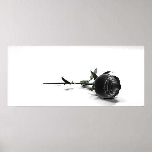 Rose Poster (Vorne)