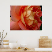 Rose Poster (Küche)