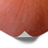 Rose Poster (Ecke)