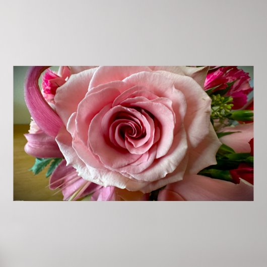 Rose, Poster (Vorne)