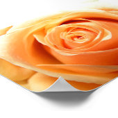 Rose Poster (Ecke)