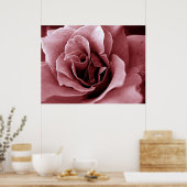 Rose Poster (Küche)