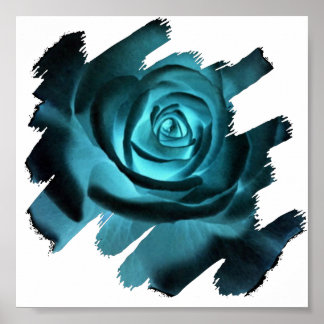 Rose Poster