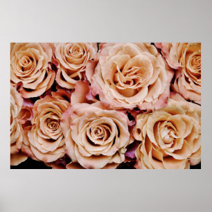 Rose Poster