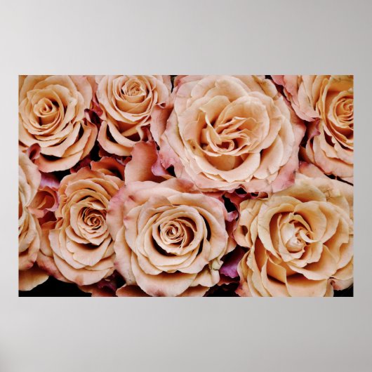 Rose Poster (Vorne)