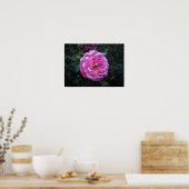 Rose, Poster (Küche)