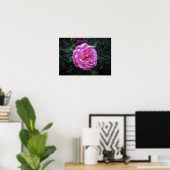 Rose, Poster (Heimbüro)