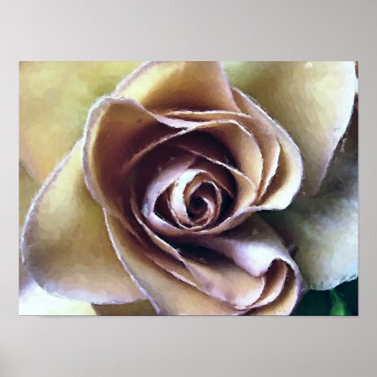 ROSE POSTER (Vorne)