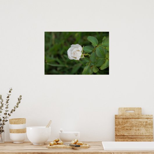 Rose Poster (Küche)