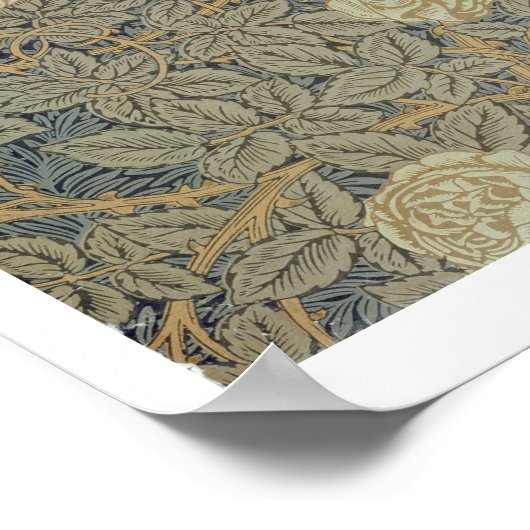 "Rose" Poster (Ecke)