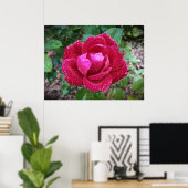 Rose, Poster (Heimbüro)