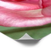Rose Poster (Ecke)