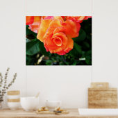 Rose Poster (Küche)