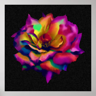 Rose Poster