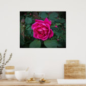 Rose, Poster (Küche)