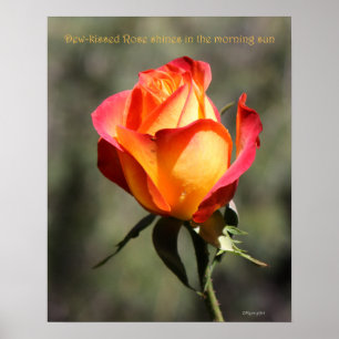 Rose Poster 16x20 ROSE & PROSE