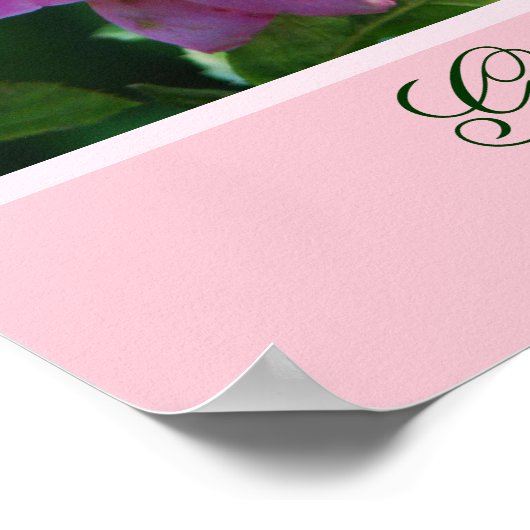 Rose Poster mit Bibelverse (Ecke)