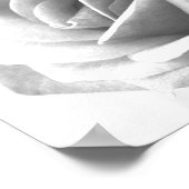 Rose Poster Print (Ecke)