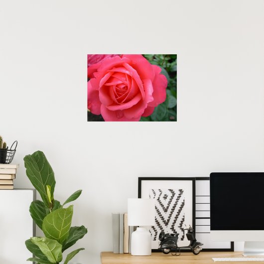 Rose Poster Print Beautiful Blume Printing (Heimbüro)