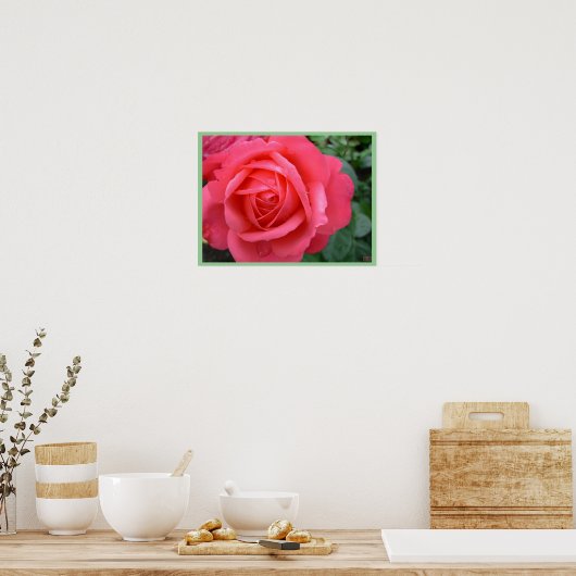 Rose Poster Print Beautiful Blume Printing (Küche)