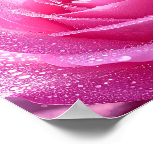 Rose Poster von Frederic Mistral Rose geküsst durc (Ecke)