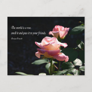 Rose Postkarte