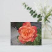 Rose Postkarte (Stehend Vorderseite)