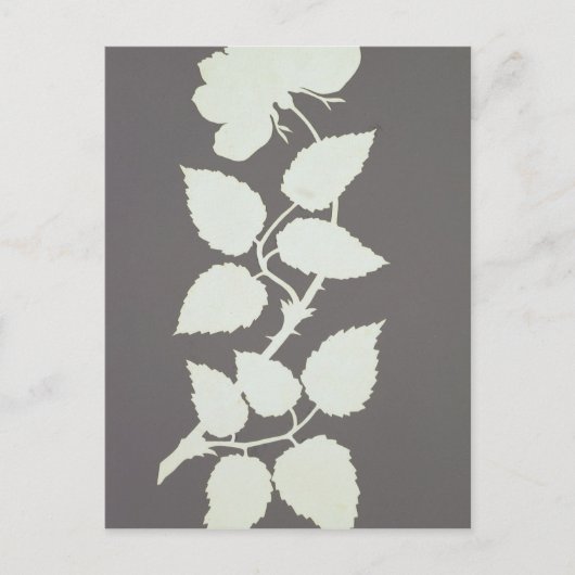 Rose Postkarte (Vorderseite)