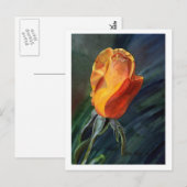 Rose Postkarte (Vorne/Hinten)