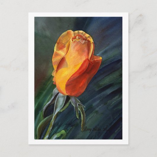 Rose Postkarte (Vorderseite)