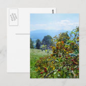 Rose Postkarte (Vorne/Hinten)