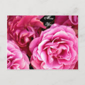 ROSE_ POSTKARTE (Vorderseite)